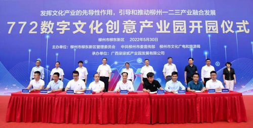 廣西首家數(shù)字文化創(chuàng)意產(chǎn)業(yè)園在柳州投入使用，推動數(shù)字內(nèi)容應(yīng)用服務(wù)新發(fā)展